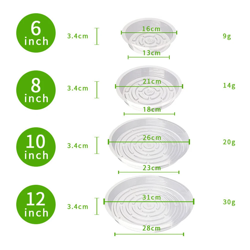 

Tray Base Plant Saucers For Indoor & Outdoor Potted Plants Transparent Color 10 Inches 12 Inches 6 Inches 8 Inches