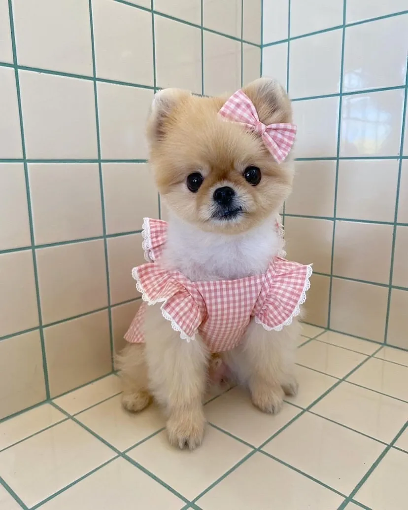 

Puppy Clothes Pink Plaid Dog Dress Summer Pet Clothes Puppy Dog Harness Skirt Cat Dress Vest Sweet free Hair Pin