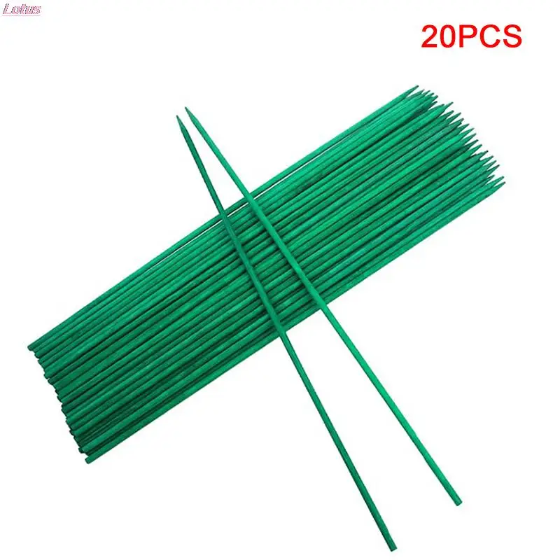 

20 Green Wood Plant Posts Green Bamboo Branches Flower Plant Support Posts Woody Plants Green Bamboo Sticks Flower Plants