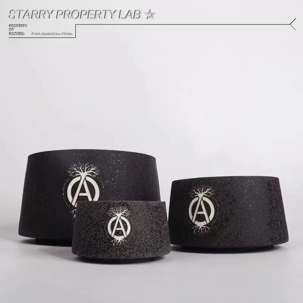 Японский Модный цветочный горшок ручной работы с корнем кактус Ebisu Xiao большая