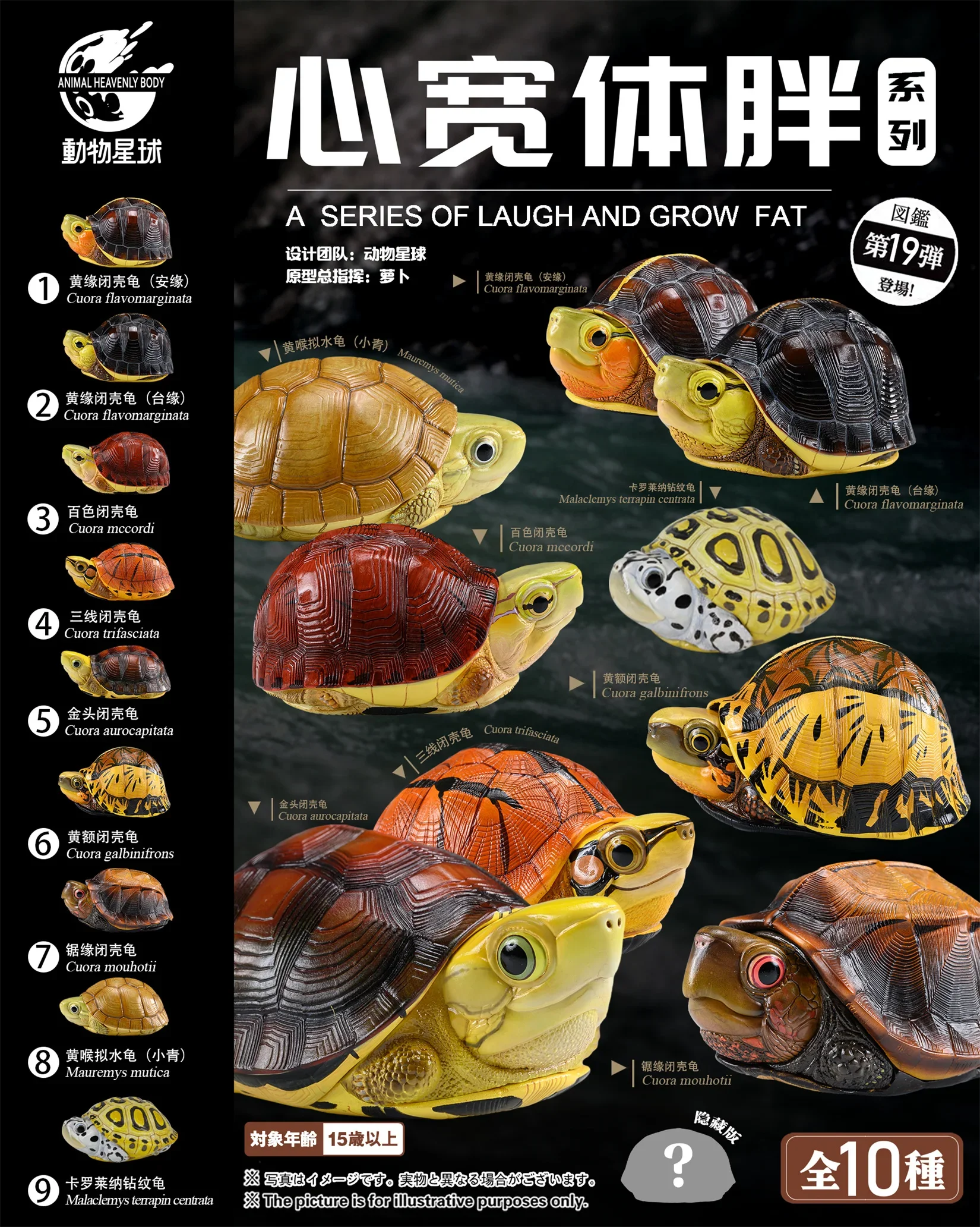 Животное небесное тело 19 черепаха модель ранней черепахи серия смех и растущих