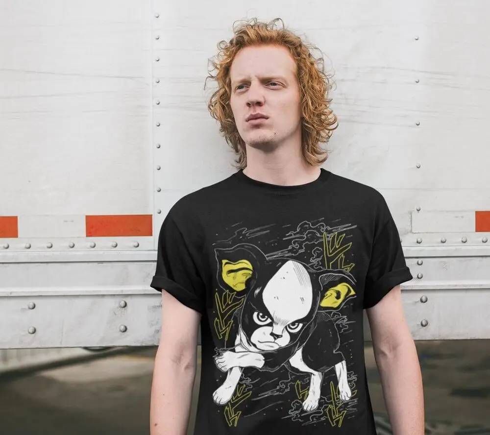 Футболка Iggy JoJo Bizarre Adventure Джотаро Куджо Рубашка Dio Giorno Все размеры