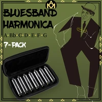 naomi standard beginner diatonic blues 7pcs harmonica 10 holes key of c blues jazz rock folk music musical instrument