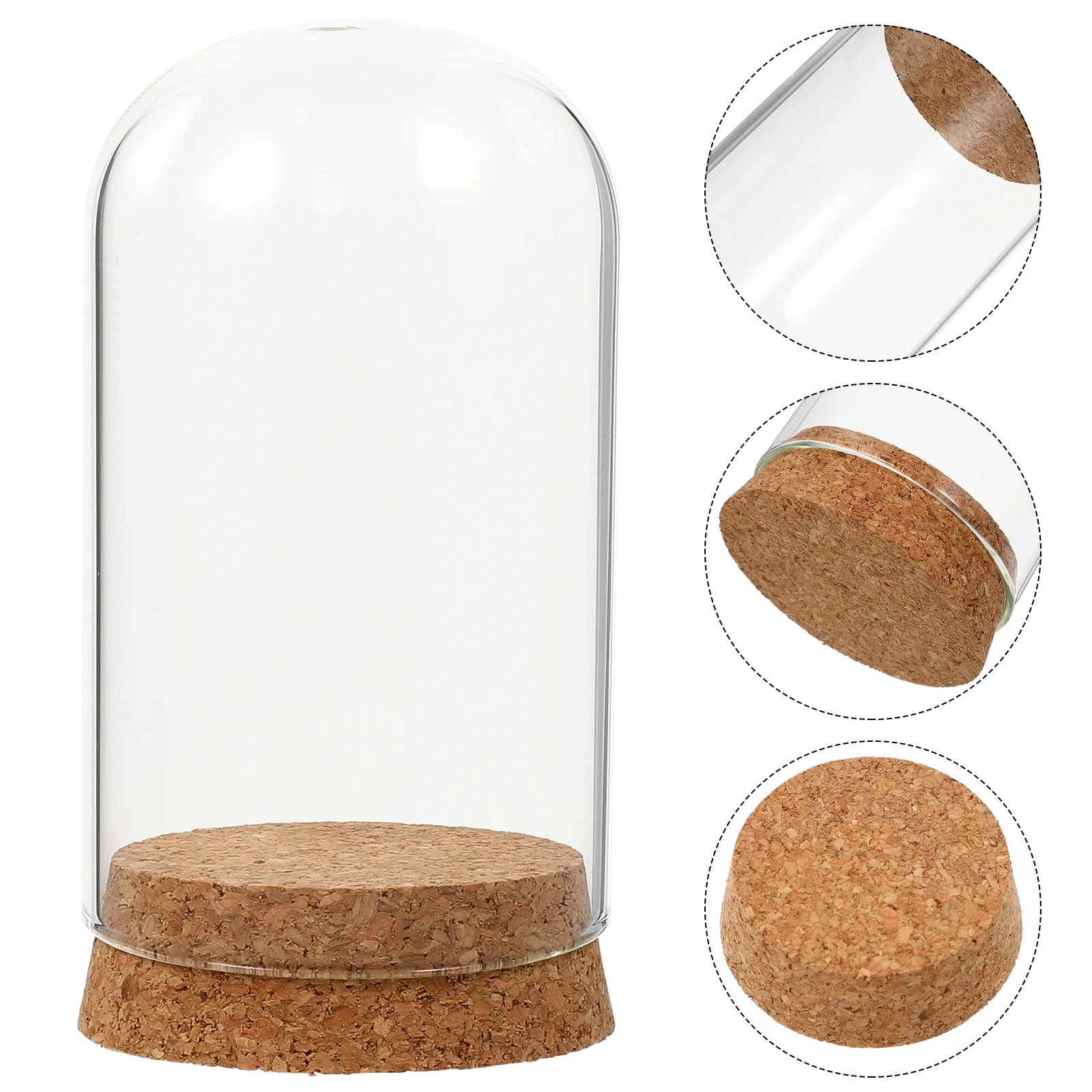 

Glass Dome Cover Display Cloche Rose Jar Eternal Bell Flower Centerpiece Bottles Stand Cakedecoration Jarscase Keepsake Clear