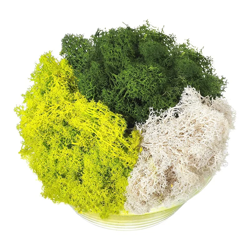 

300G Moss Green Immortal Artificial Decorative Moss Artificial 3-Color Mixed Garden Dried Flowers Forest Spanish Moss