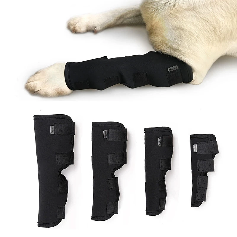 

Leg Knee Pads for Dogs Recovery Bandage Anti-Lick Wound Dog Arthritis Auxiliary Fixed Joint Protector Pet Dog Support Health
