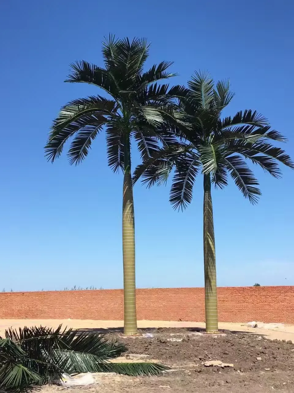 Искусственное кокосовое дерево Roystonea Regia