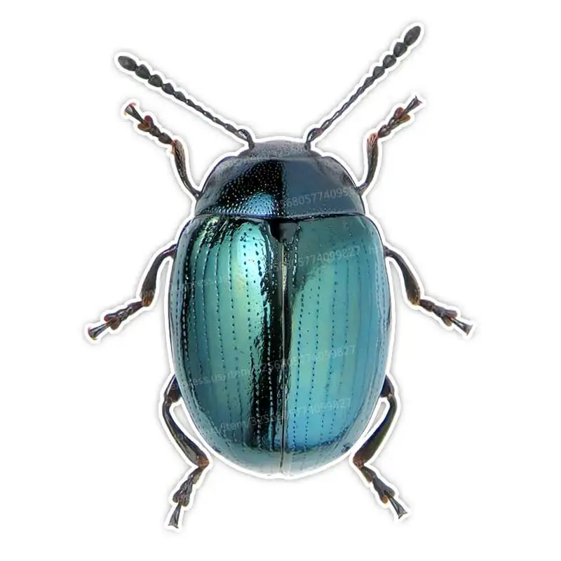 

Милая маленькая насекомое, автомобильная наклейка, виниловая наклейка, водостойкая наклейка на заднее окно, мотоцикл, кемпер, бампер, грузовик, украшение для ноутбука SH848