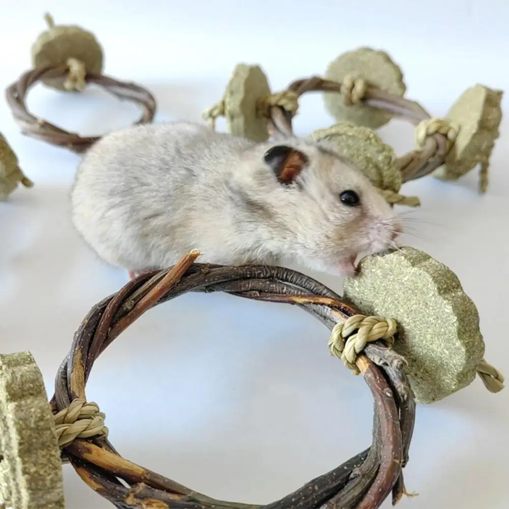 

Creative Multifunctional Guinea Pig Toys Apple Branch Alfalfa Cake Fun Hamster Toy Hanging Teeth Cleaning Tool