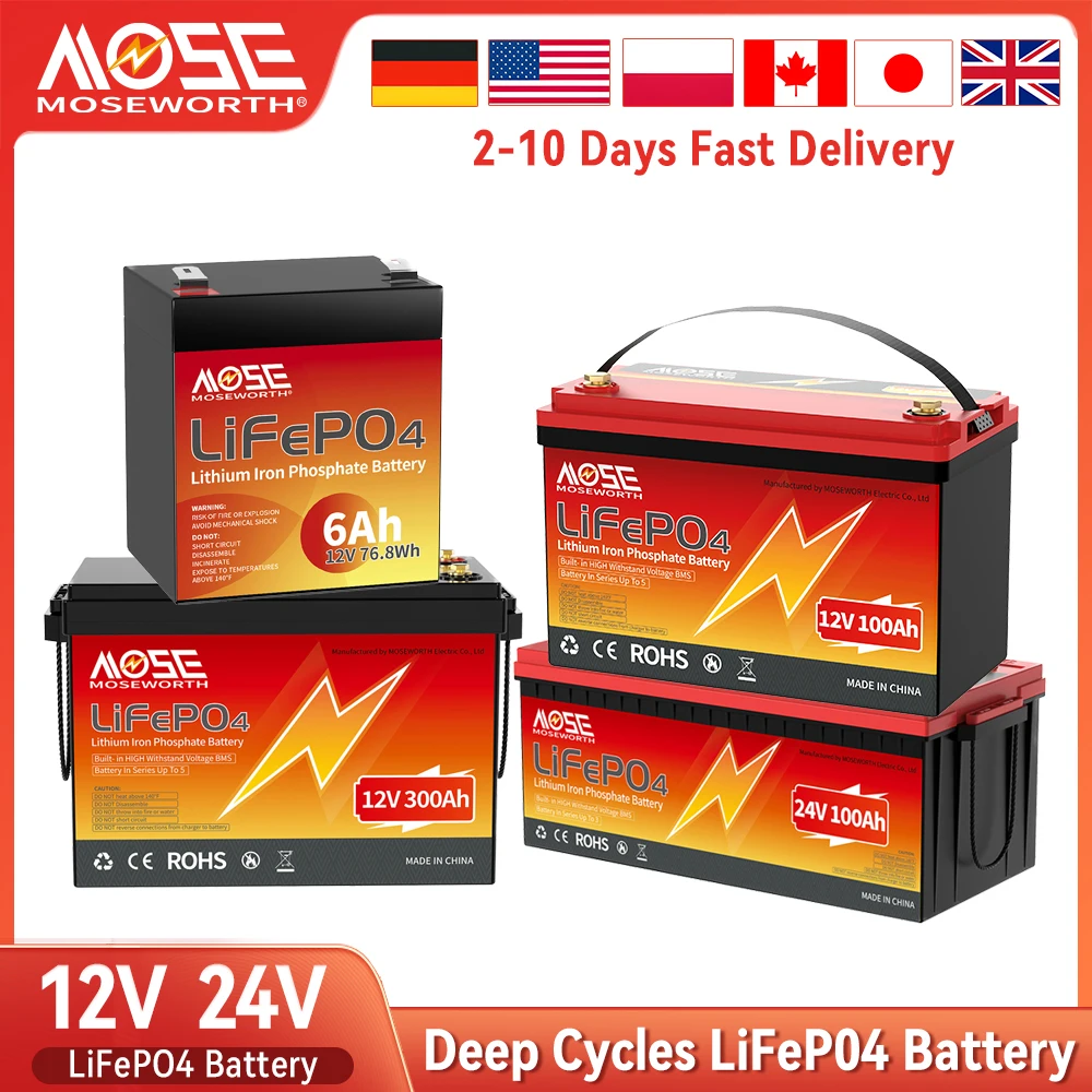 6Ah 10Ah 12Ah 20Ah 25Ah 30Ah 12V 100Ah LiFePO4 Аккумулятор Встроенный BMS 24V Литий-железо-фосфатный