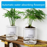 transparent lazy flower pot automatic water absorption plastic flowerpot round shape creative planter easy cultivation blowing f