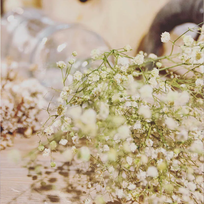 

Цветок Гипсофилы, натуральные свежие сушеные сохраненные цветы, букет для детей, красочные мини-цветы, Рождественский Свадебный домашний д...