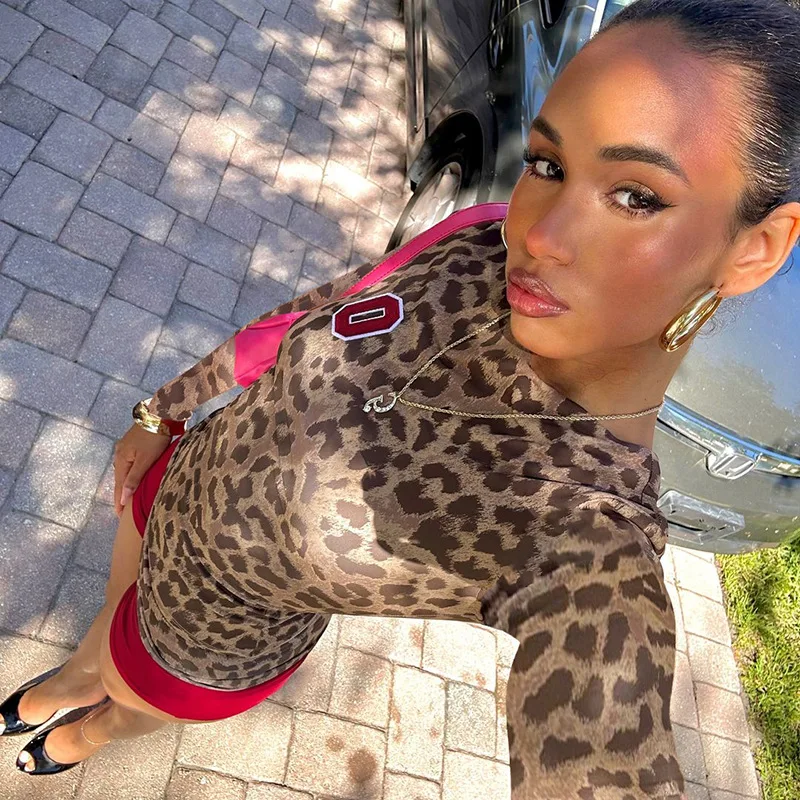 Леопардовый принт контрастный цвет пуловер с круглым вырезом и длинными