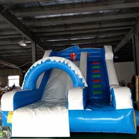 Popular Good Quality Large Inflatable Water Slide for Amusement Park , Inflatable Slide Manufacturer