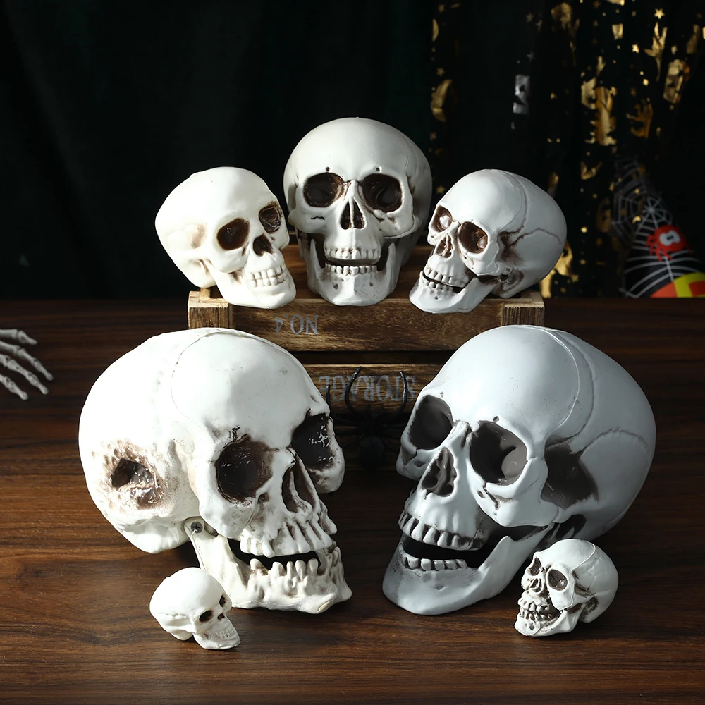 

Череп на Хэллоуин, искусственный скелет, голова, реалистичные черепа для взрослых, стиль на Хэллоуин, дом с привидениями, украшение для вече...