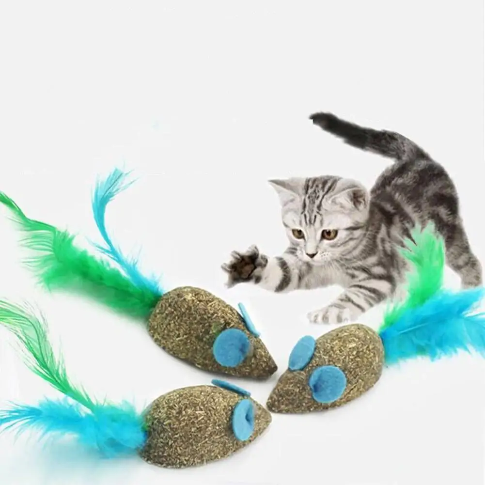 

Mint Tease Cat Toy Mouse-Shaped Catnip With Feather Teeth Cleaning Molar Stick Cat Snack Dropshipping