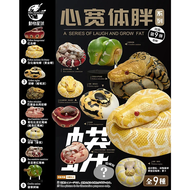 

Животные планеты серии смех и рост толстые 9 змея питон бронгерsmai удав сдавливатель император кораллус каннус модельные игрушки