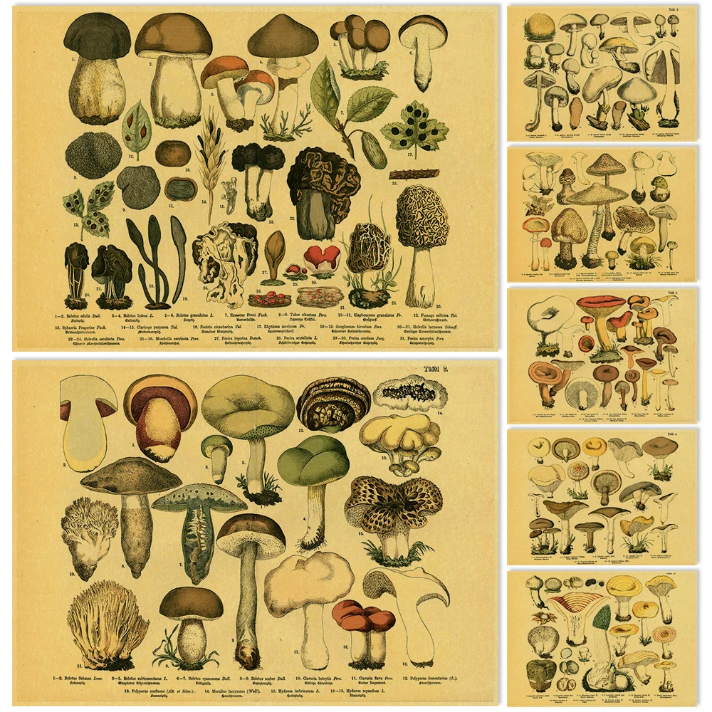 

Retro Mushroom Kraft Paper Posters Botanical Plant Flowers Vegetable Fruit Vintage Wall Decor Poster Retro Art Painting Pictures