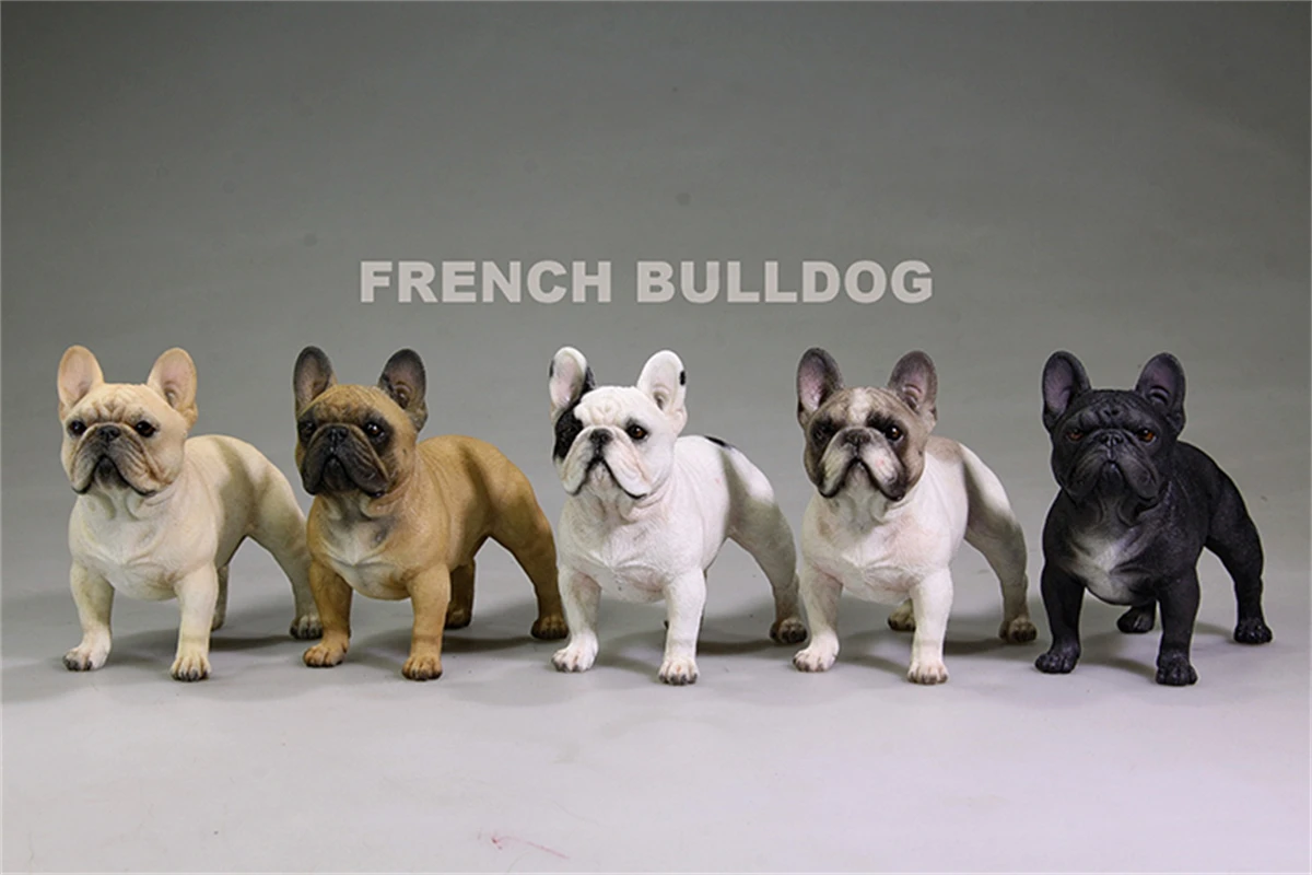 

Mr.Z Studio 1:6 Stand French Bulldog Bull Dog Pet Figure Animal Toy Collector Decor Gift Play Home Furnishing Small Ornaments