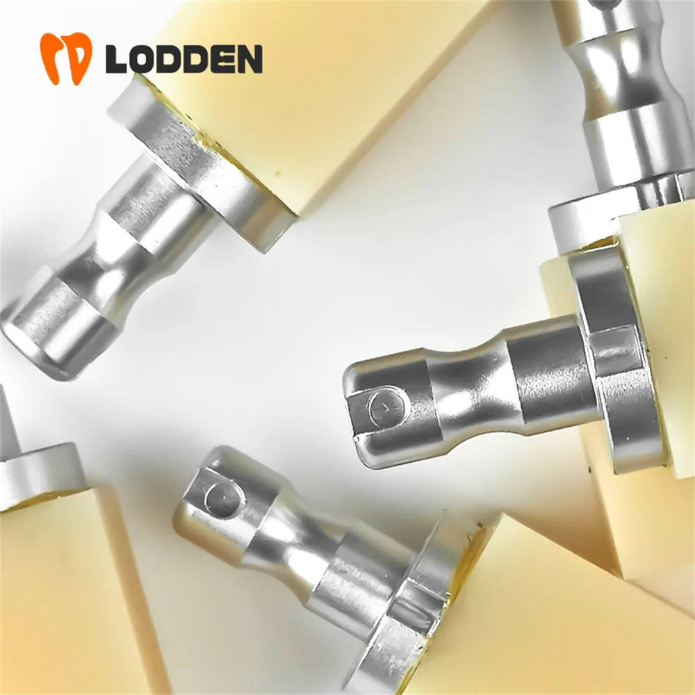 LODDEN 1 Box B40 PMMA блоки C14