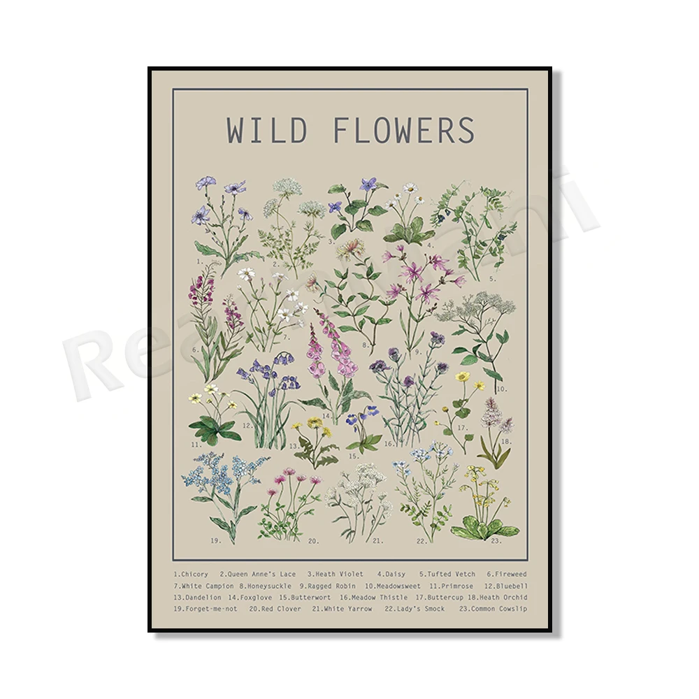 

Ботанический постер ReachMani