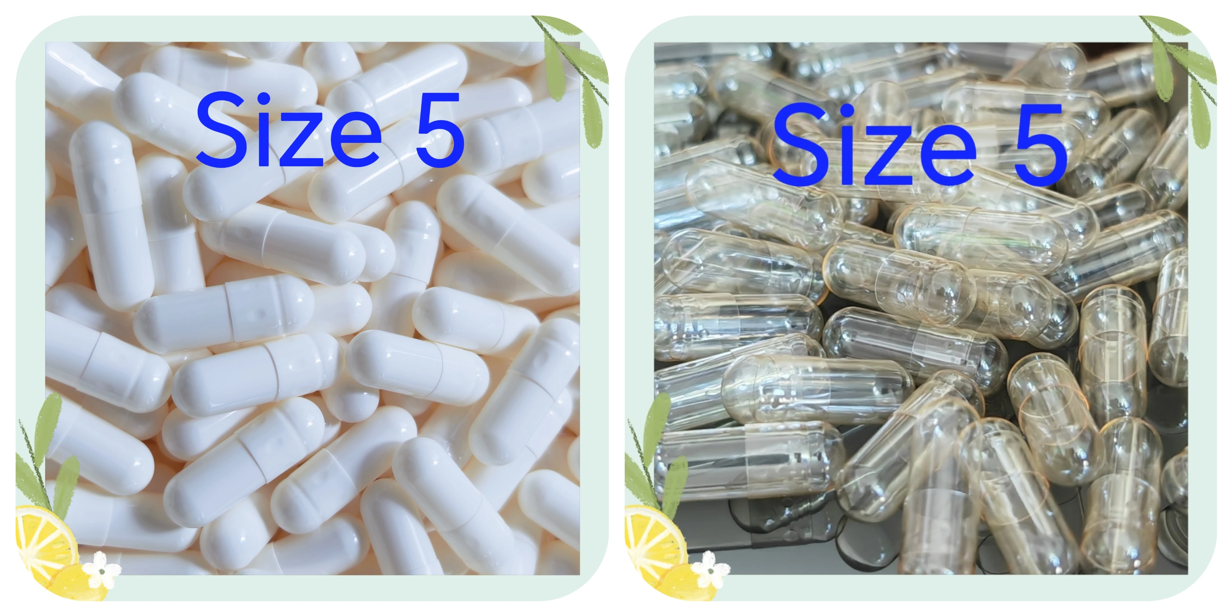 

5# Mini Empty Capsule 1000PCS,The Smallest Medical Capsule Size 5,Hard Gelatin Hollow Capsule,Pill Case for PowderGranule,Pallet