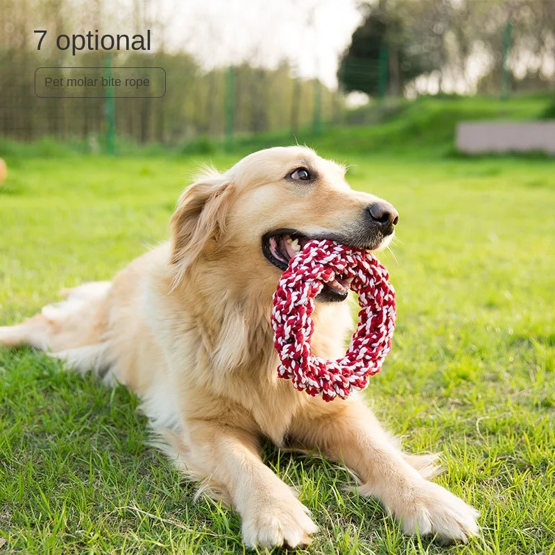 

Puppy Dog Toy Bite-Resistant Molar Rod Bends and Hitches Teddy/Golden Retriever Puppy Large, Medium and Small Dogs Toy Ball Pet