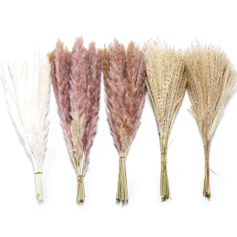 

105Pcs 17.72Inch Dried Pampas Grass Natural Home Decor & Perfect For Flower Arrangements, Wedding Plants