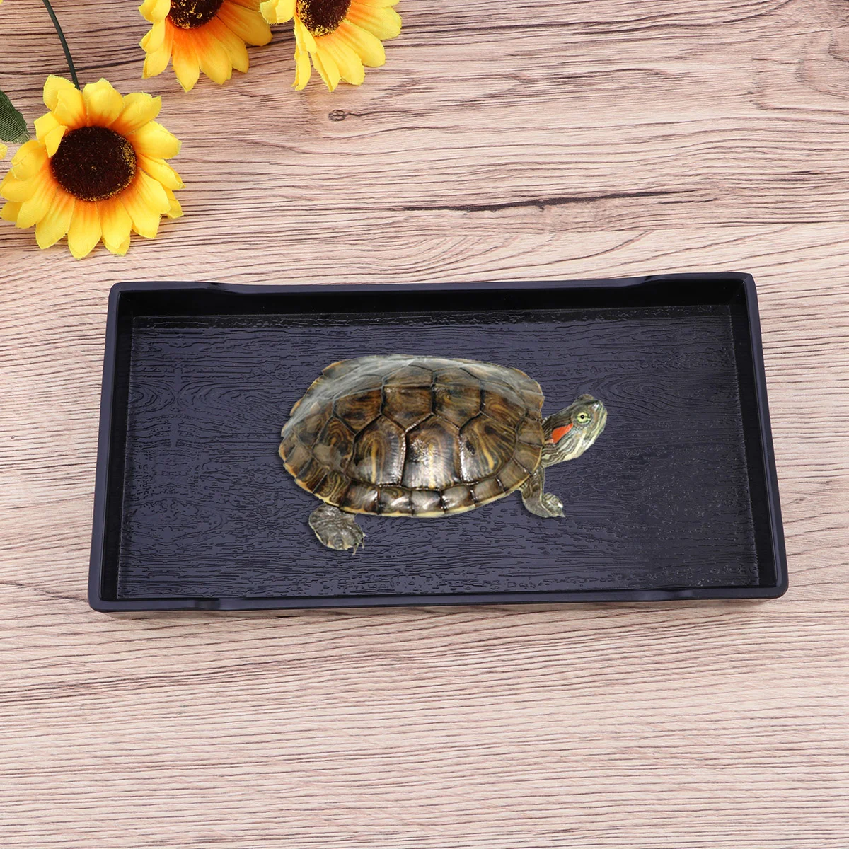 

Reptile Bowl Water Dishtortoise Turtle Feeding Accessories Basin Bath Drinkingsupplies Pet Habitat Large Bearded Dragon Gecko