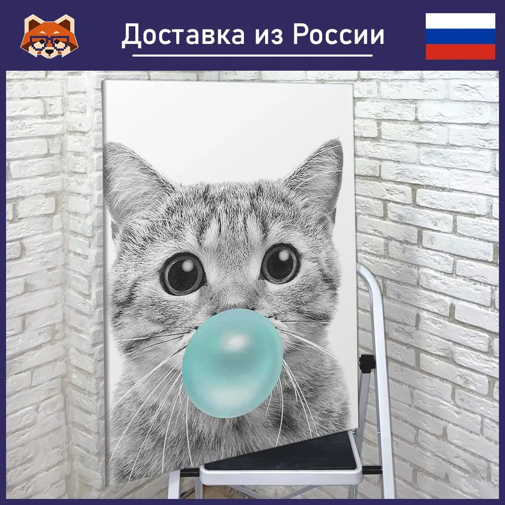 Кот бабл. Кот бабл