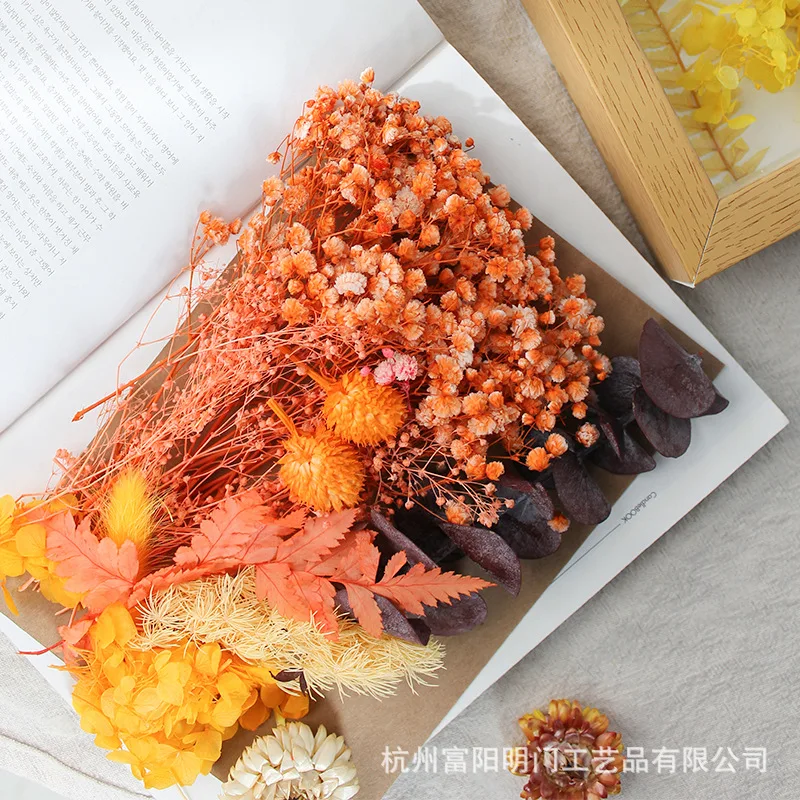 

Dry Plant Pineapple Dried Fruit Lemon Dried Flower DIY Handmade Garland Candle Making Frame Decor Group Fan Christmas Decoration