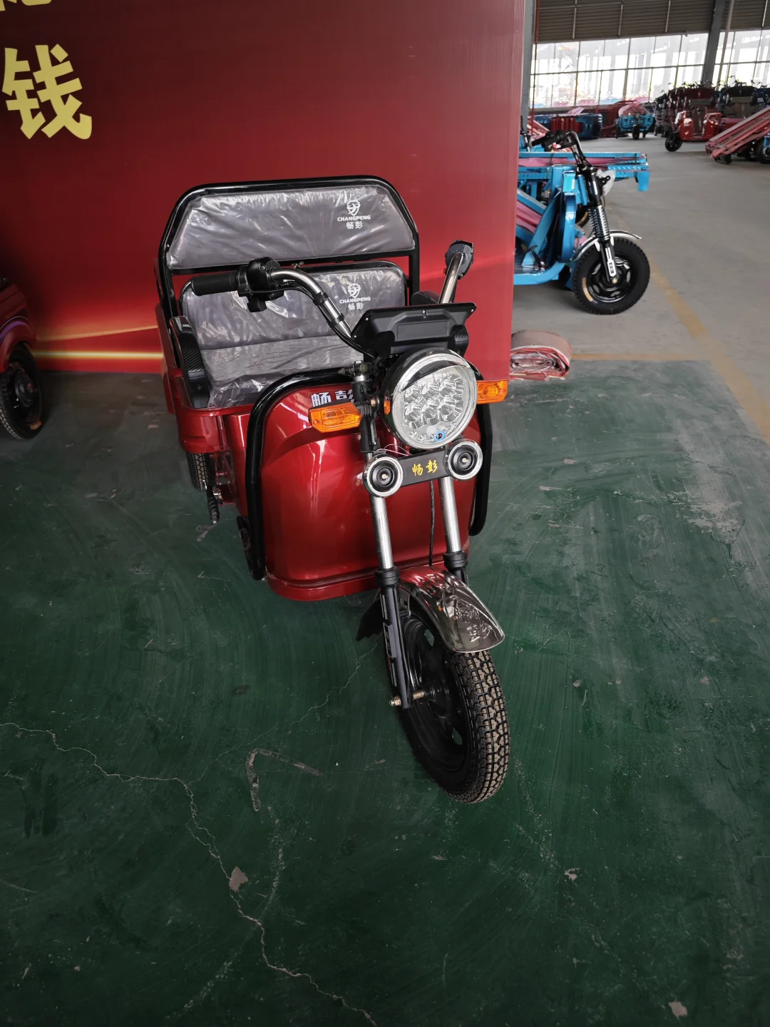 Акция Thrthree Wheeleelectric трехколесный велосипед одобренный Eec электрический 48V