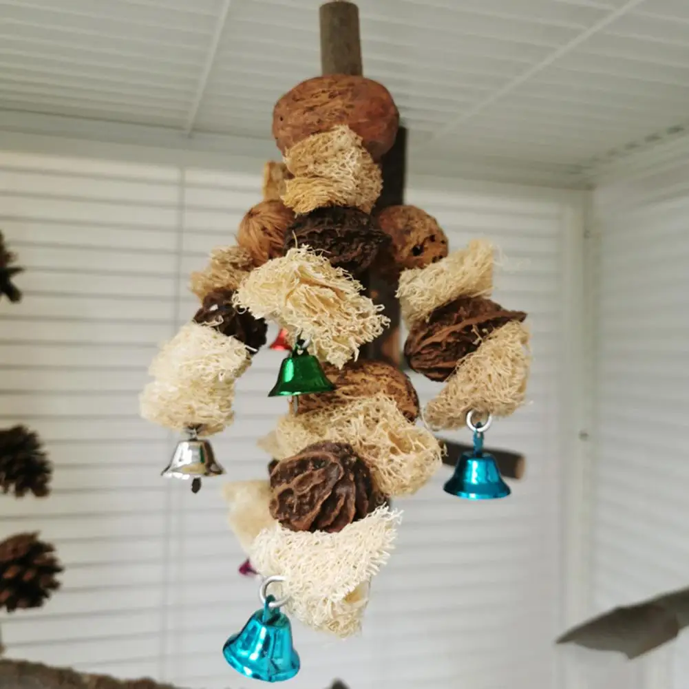 

Bird Foraging Toy Natural Wood Easy Installation Cage Toy Bird Parrot Cage Foraging Toy Parrot Toy Relieve Boredom