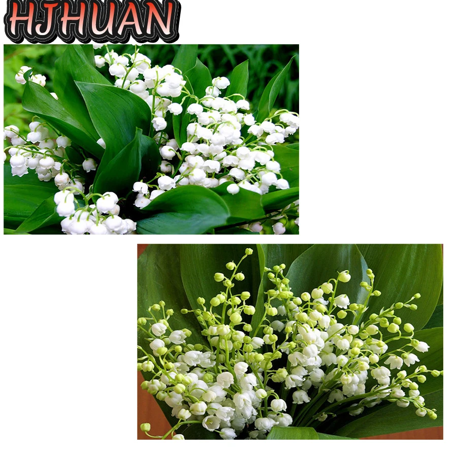 

5D алмазная живопись «сделай сам», лилии, алмазная Вышивка крестиком, полная круглая квадратная мозаика, настенная картина, украшение для дома, подарок на день рождения