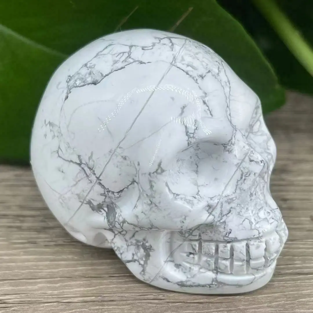 

Beautiful Natural Howlite Skull Home Decoration Gifts