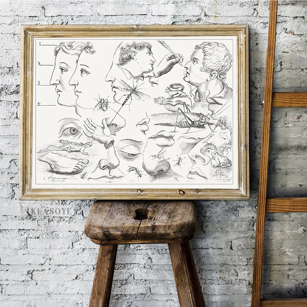 Художественная схема