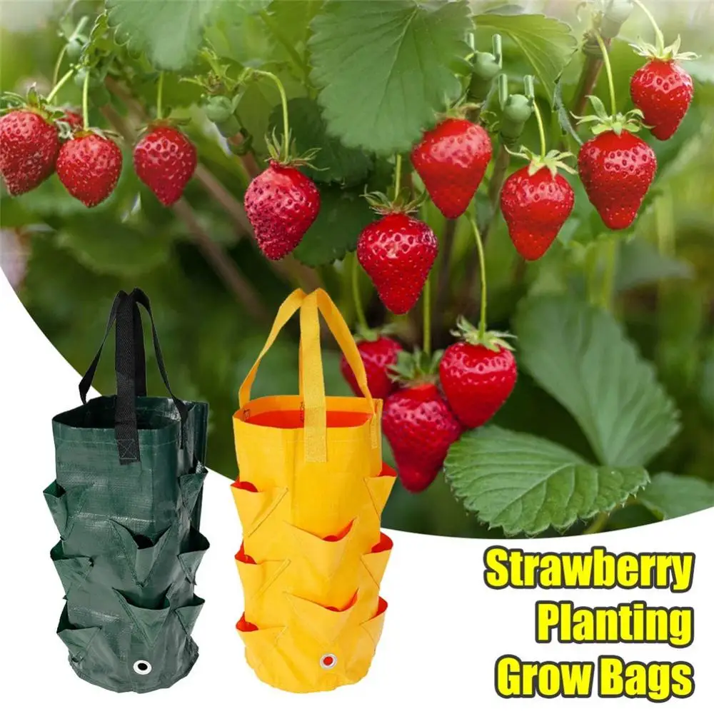 

Multi-Mouth Grow Bag 3 Gallons Hot Sell Strawberry Tomato Planting Bags Reusable Gardens Balconies Flower Herb Planter