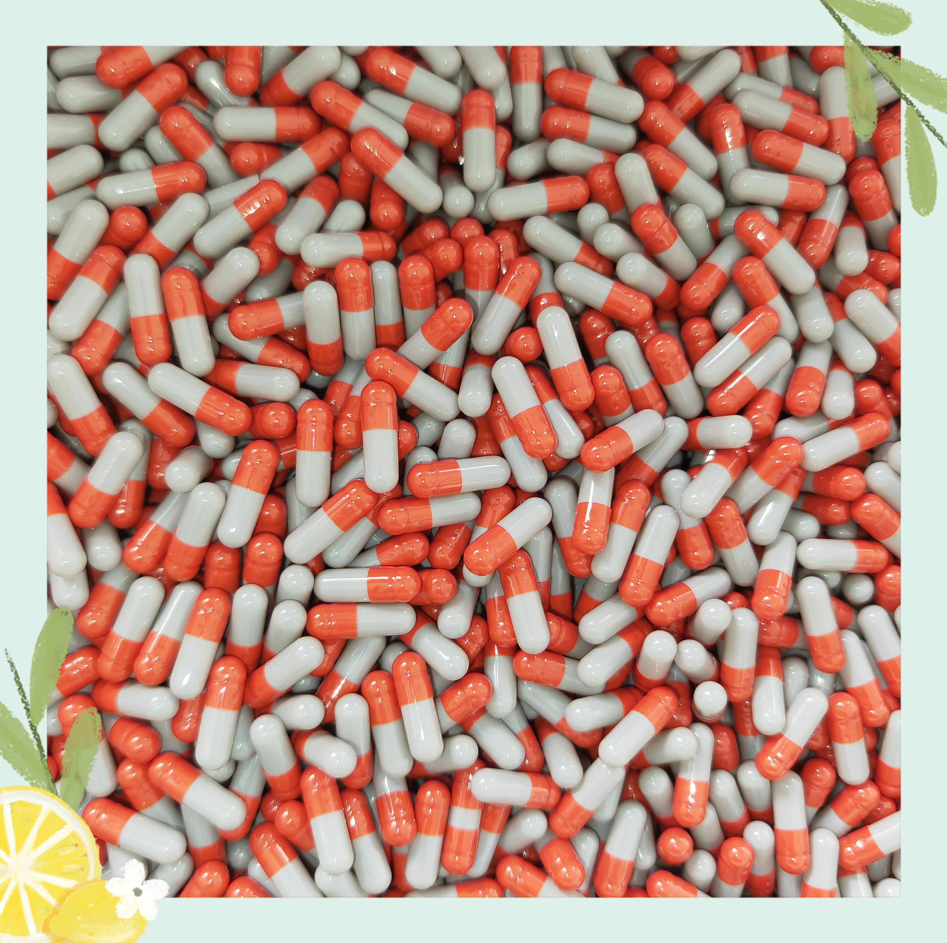 

SUNNYPK Желатиновые Пустые Капсулы 1000 шт