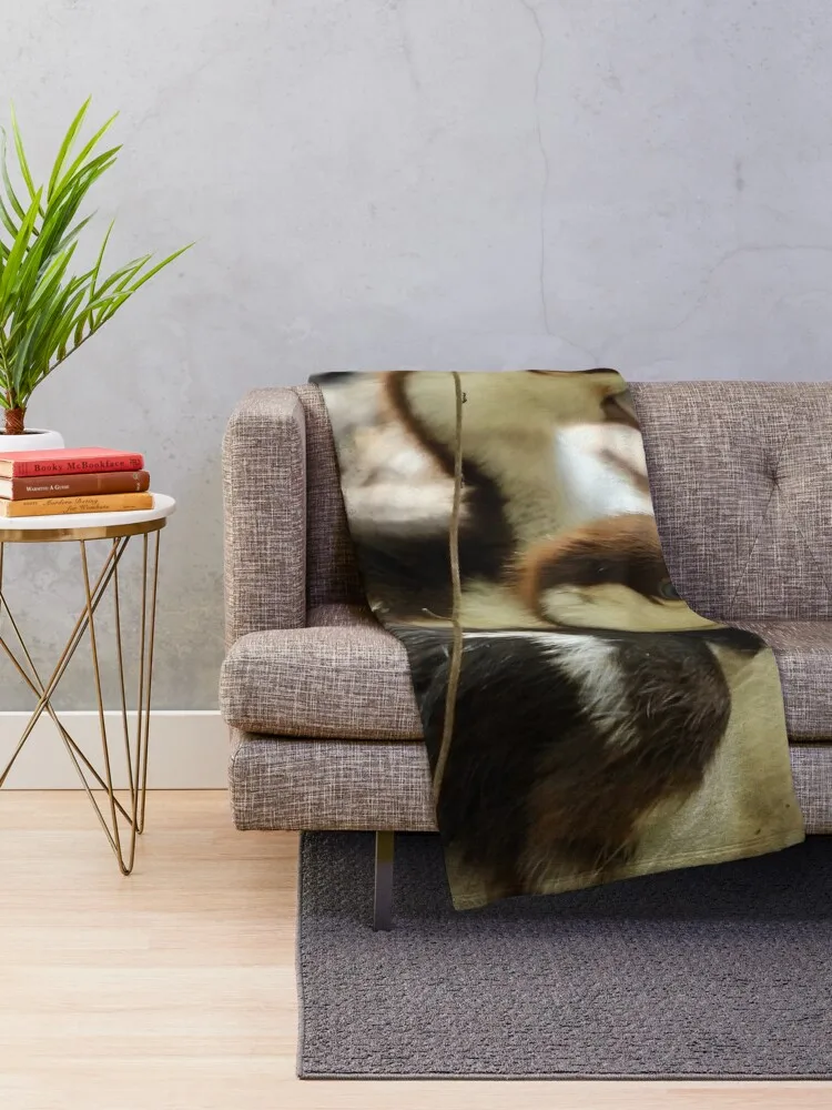 Radjah Шелдук утки всегда будущий мир пледы декоративное одеяло милые клетчатые