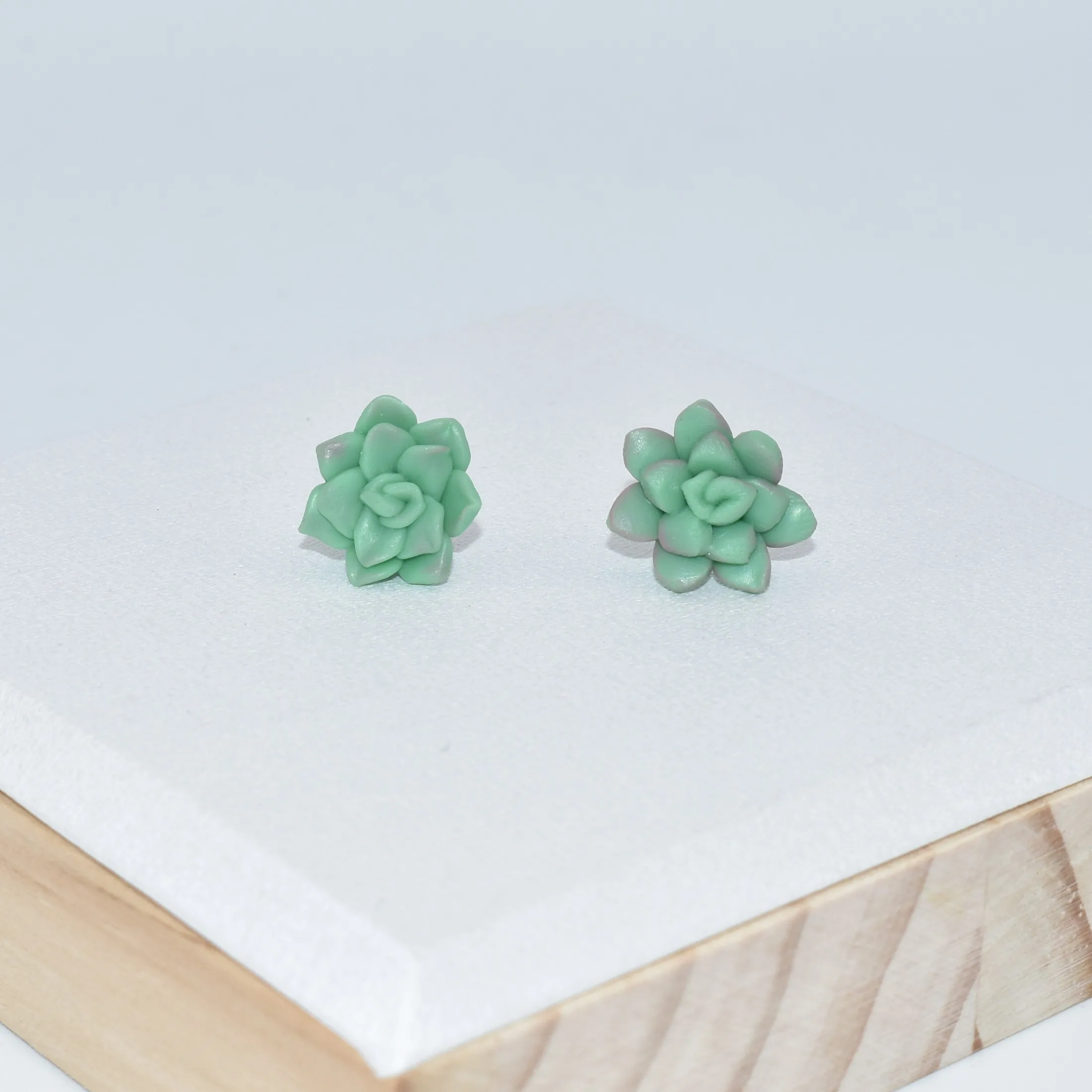 

Hot Sale Designs Hypoallergenic Stainless Steel Post Polymer Clay Succulent Plants Earrings For Women