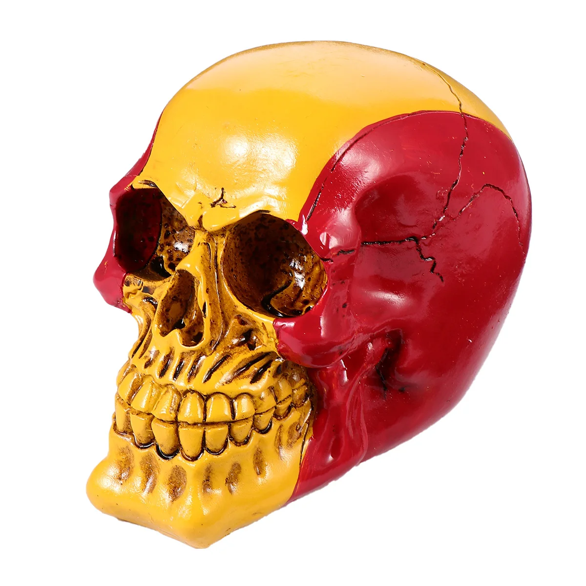 

Home Decoration Model Head Bone Skeleton Statue Party Ornament