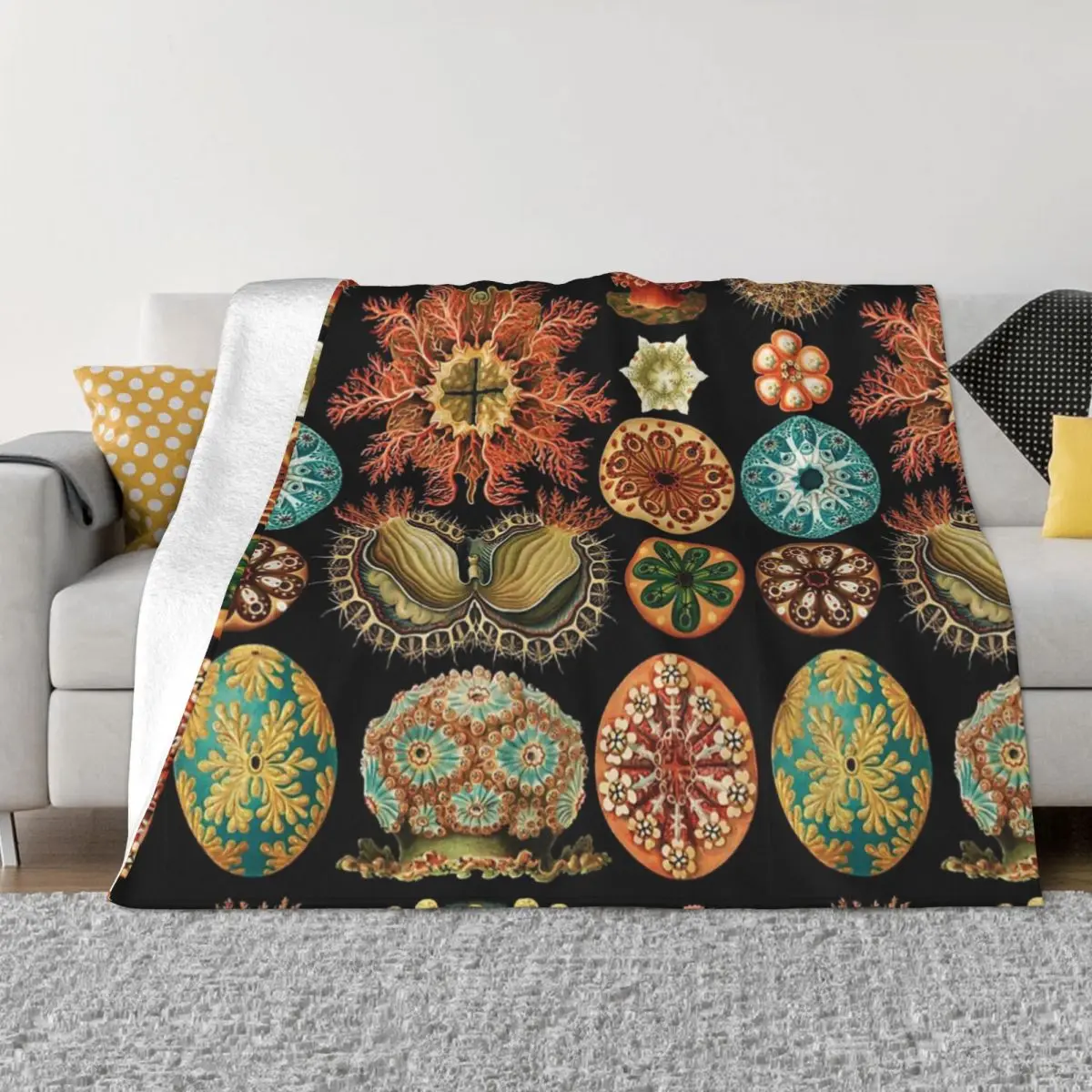 Одеяло с морскими сквиртами асцитацея покрывало на кровать диван-кровать