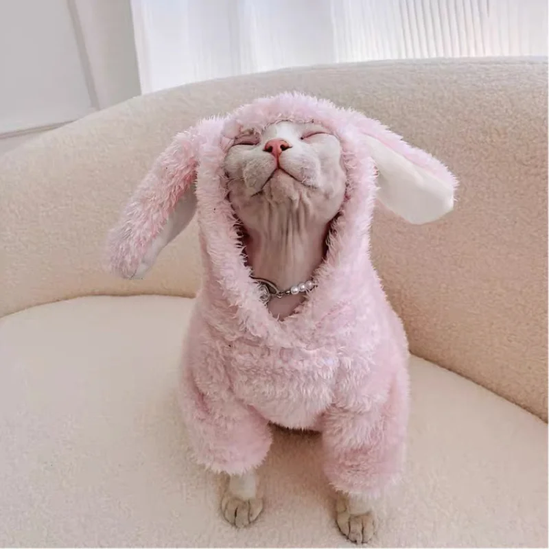 

Sphynx Hairless Cat Clothes Sphinx Devon Cute Pink Rabbit For Extra Winter Warmth Free Shipping