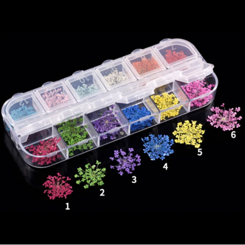12 Colors Floral Nail Art Stickers Dried Flower Preserved Daisy Leaf For Gel Nail Polish Decoration Manicure Acrylic Tips