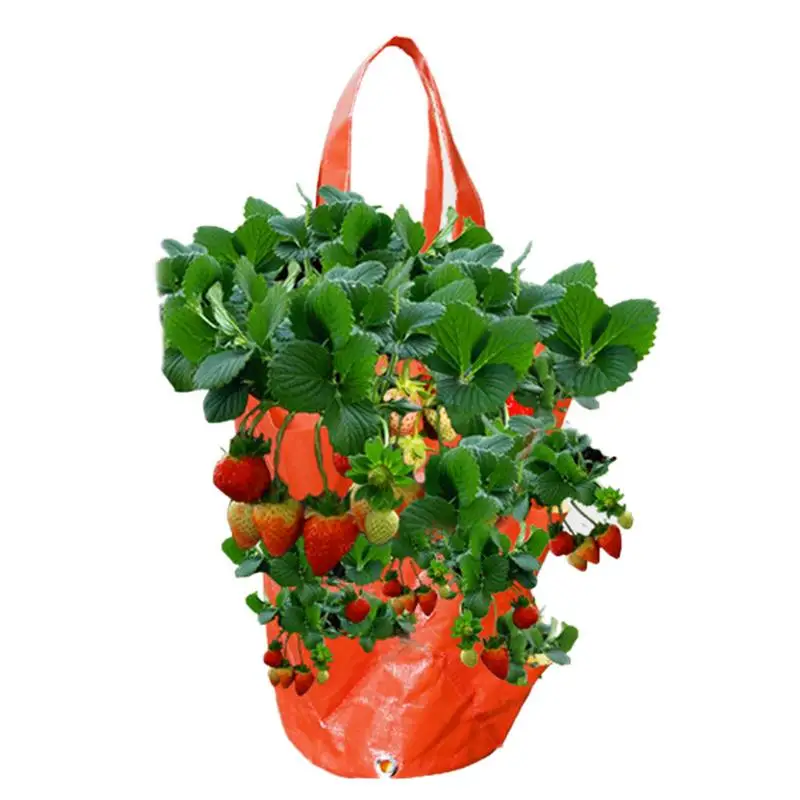 

Fabric Pots 3 Gallon Strawberry Grow Bag Aeration Fabric Pots With Handles Grow Bags Potato Grow Bag Planter Pots For Tomato And