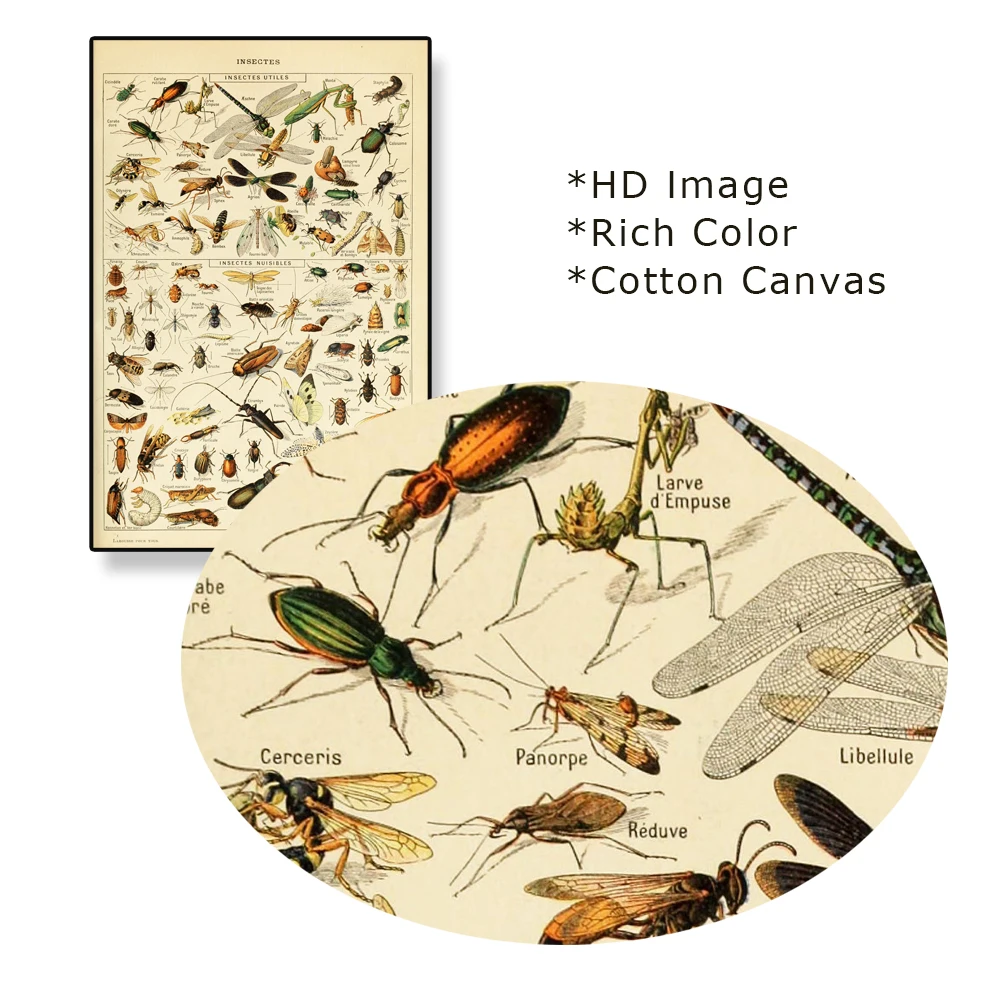 Винтажный научный постер с насекомыми таблица насекомых ботанический украшение
