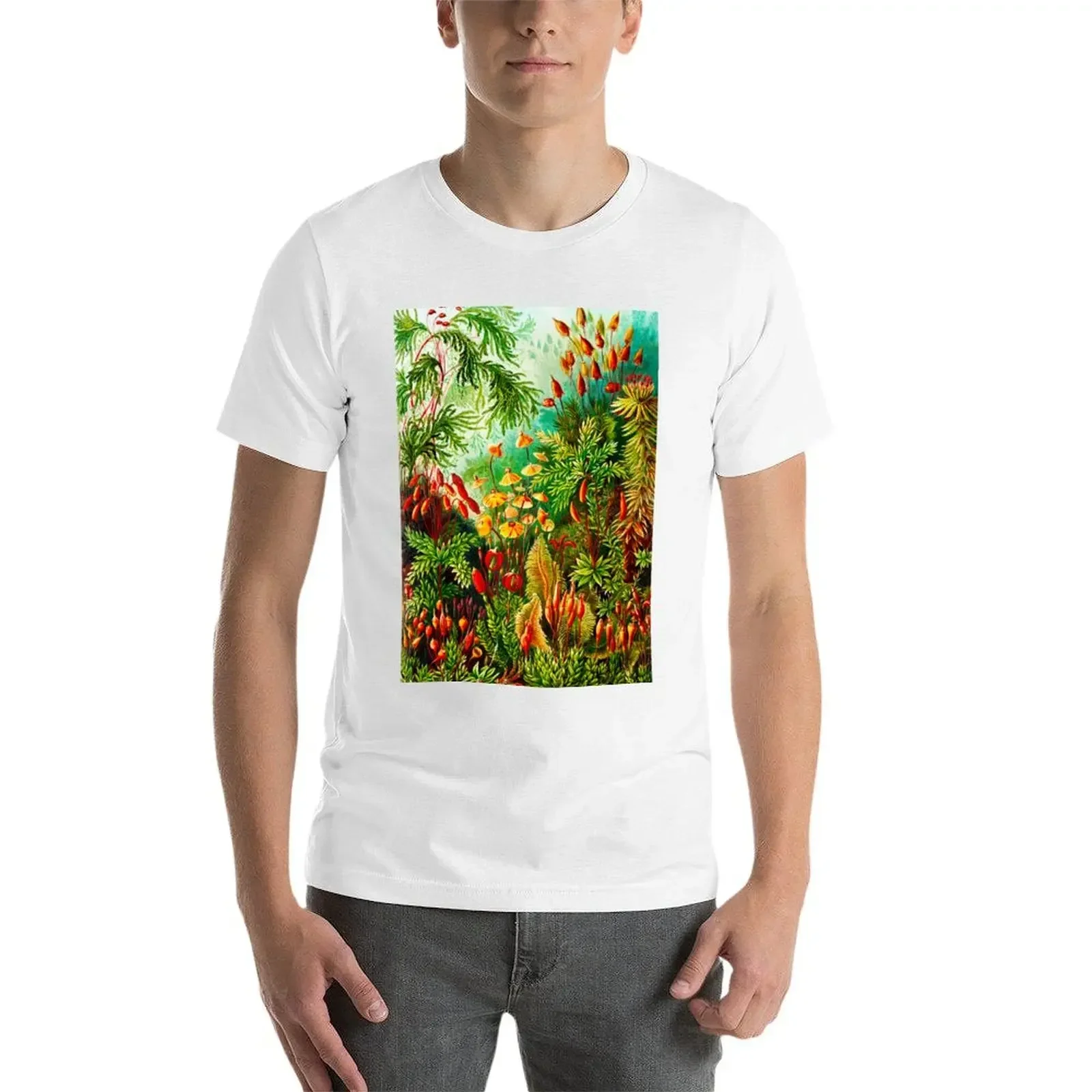 Винтажная Футболка Muscinae-laubelk-Мосс с растительным рисунком Эрнста хаеккеля