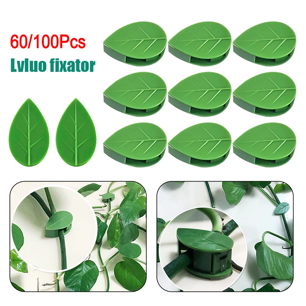 

60/100 шт., невидимые Крючки-лозы для растений