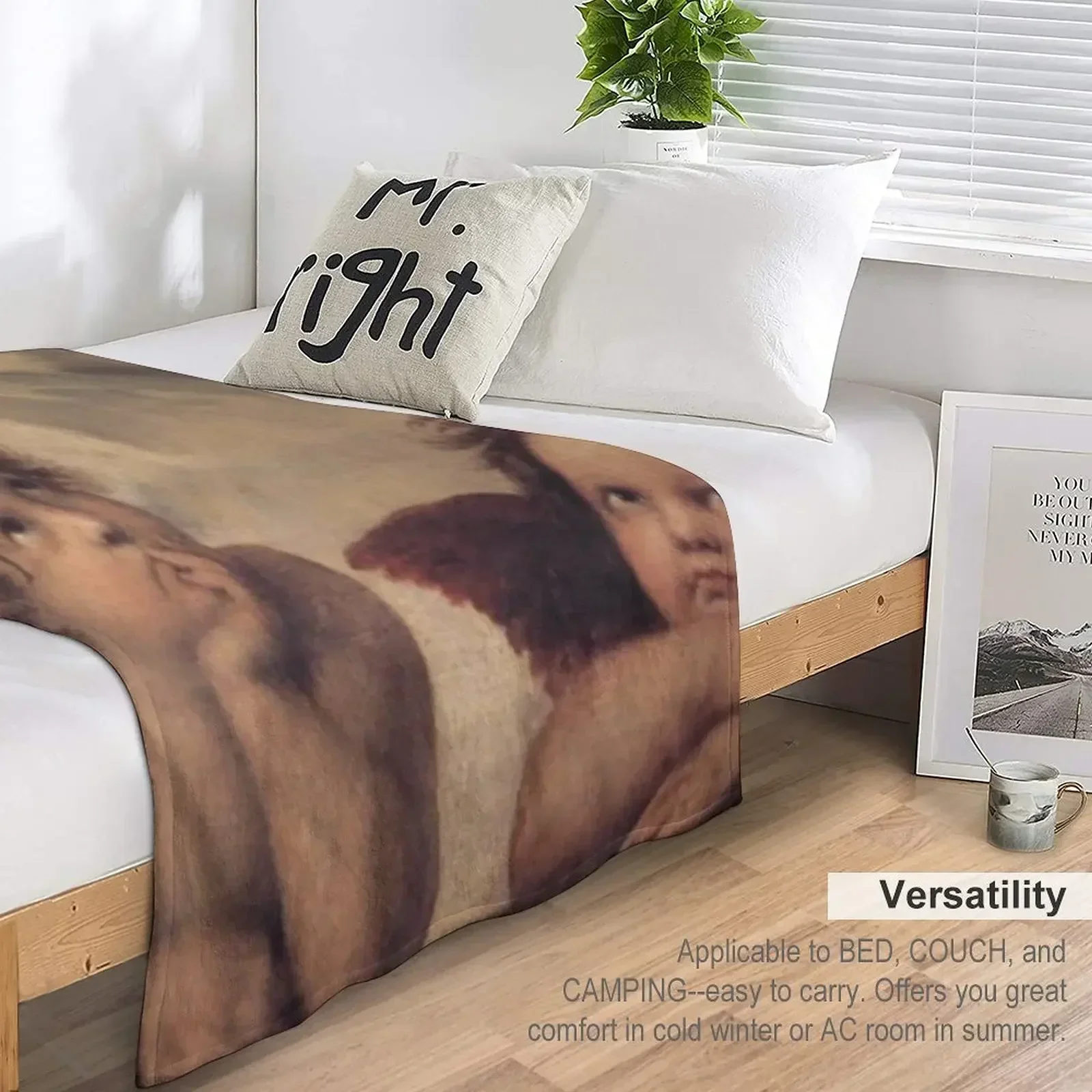 Новинка THE SISTINE MADONNA (детали) — одеяло RAPHAEL свободные фланелевые одеяла