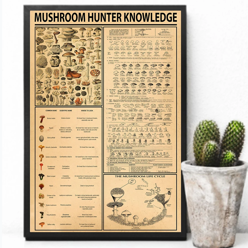 Настенная Художественная печать на холсте картина с изображением охотника за грибами знания когда в сомнении выбрасывать картины гостиная домашний Декор Ретро плакат